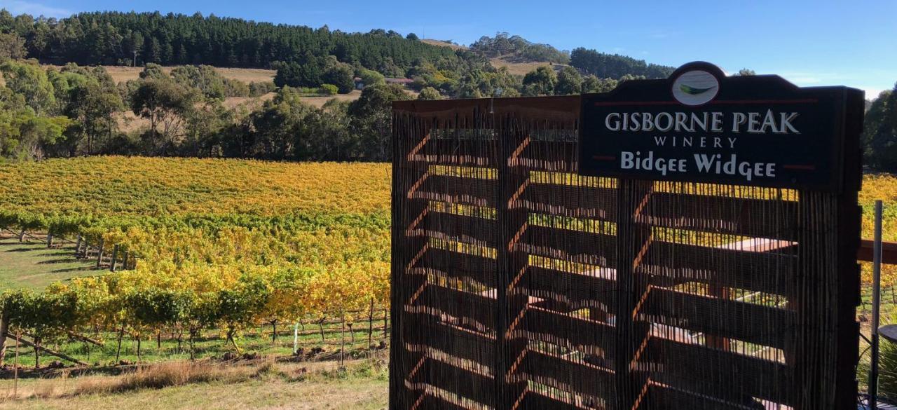 Gisborne Peak Winery Short Term Stays Exterior photo
