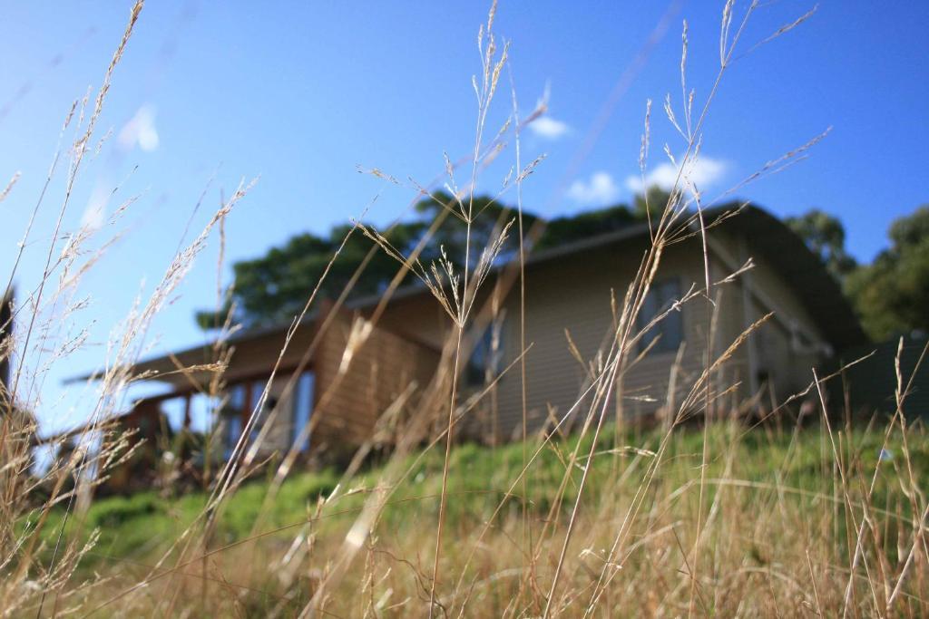 Gisborne Peak Winery Short Term Stays Room photo