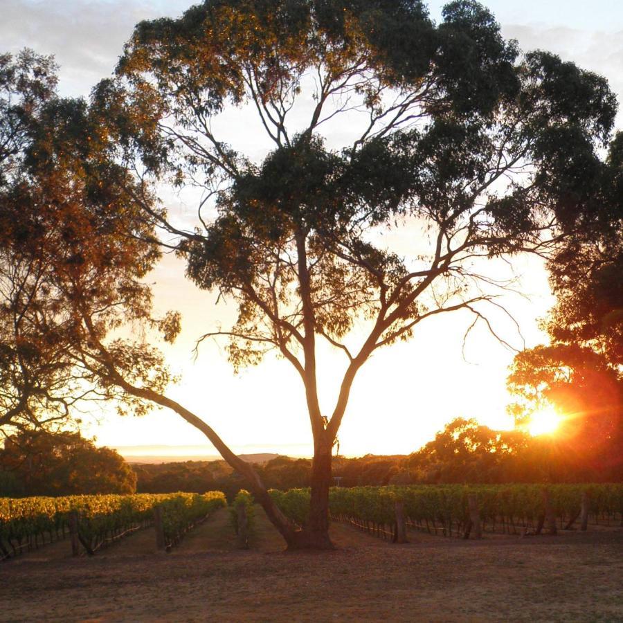 Gisborne Peak Winery Short Term Stays Exterior photo