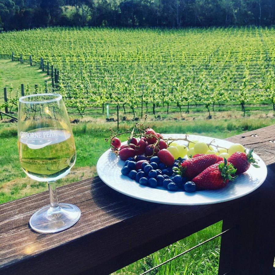 Gisborne Peak Winery Short Term Stays Exterior photo
