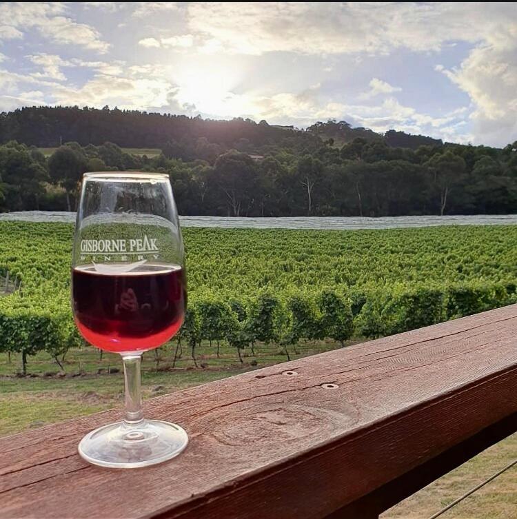 Gisborne Peak Winery Short Term Stays Exterior photo