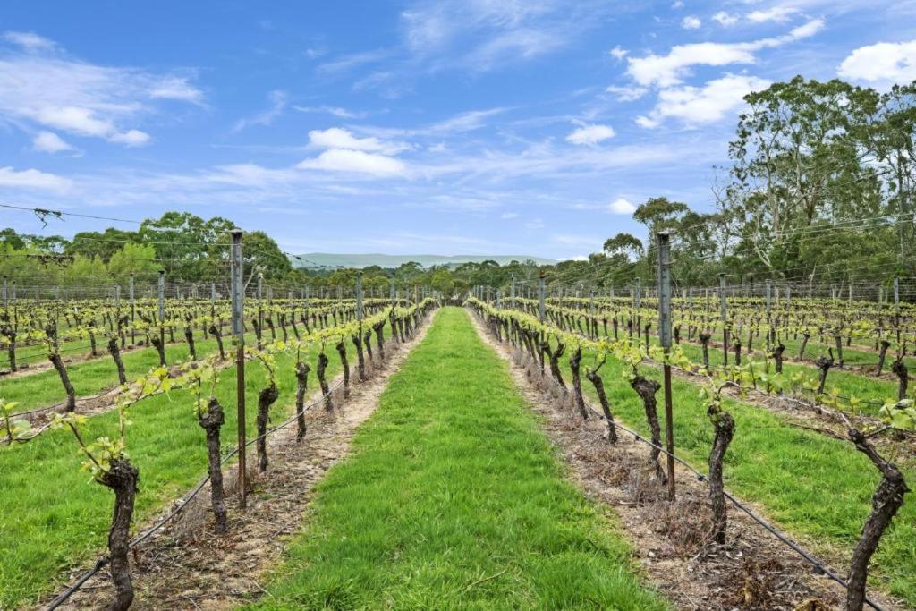 Gisborne Peak Winery Short Term Stays Exterior photo