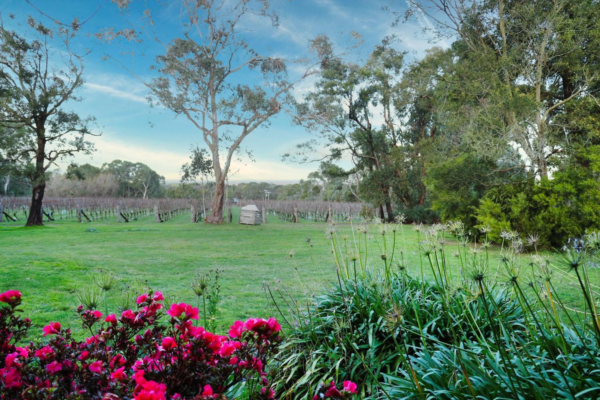 Gisborne Peak Winery Short Term Stays Exterior photo