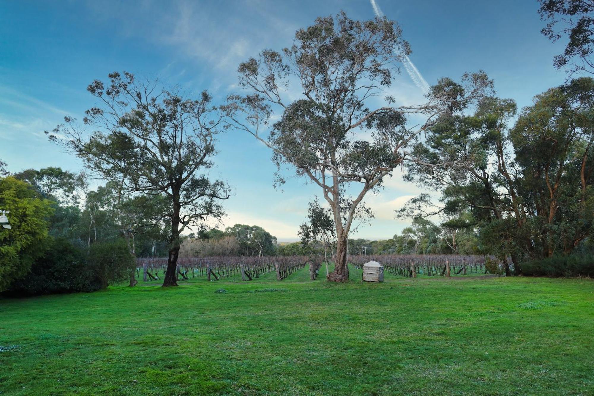 Gisborne Peak Winery Short Term Stays Exterior photo