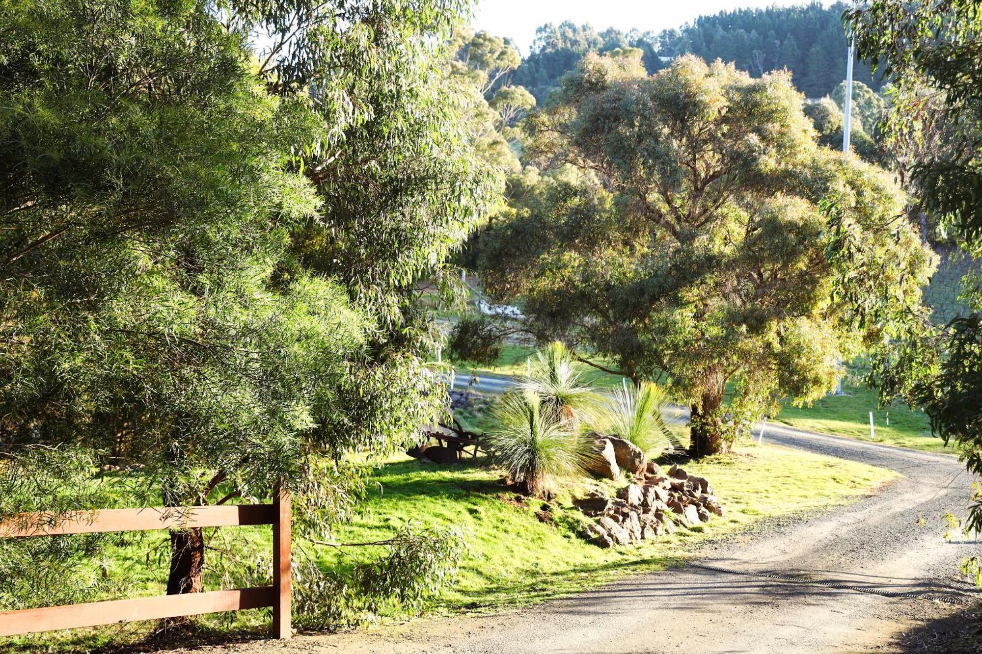 Gisborne Peak Winery Short Term Stays Exterior photo
