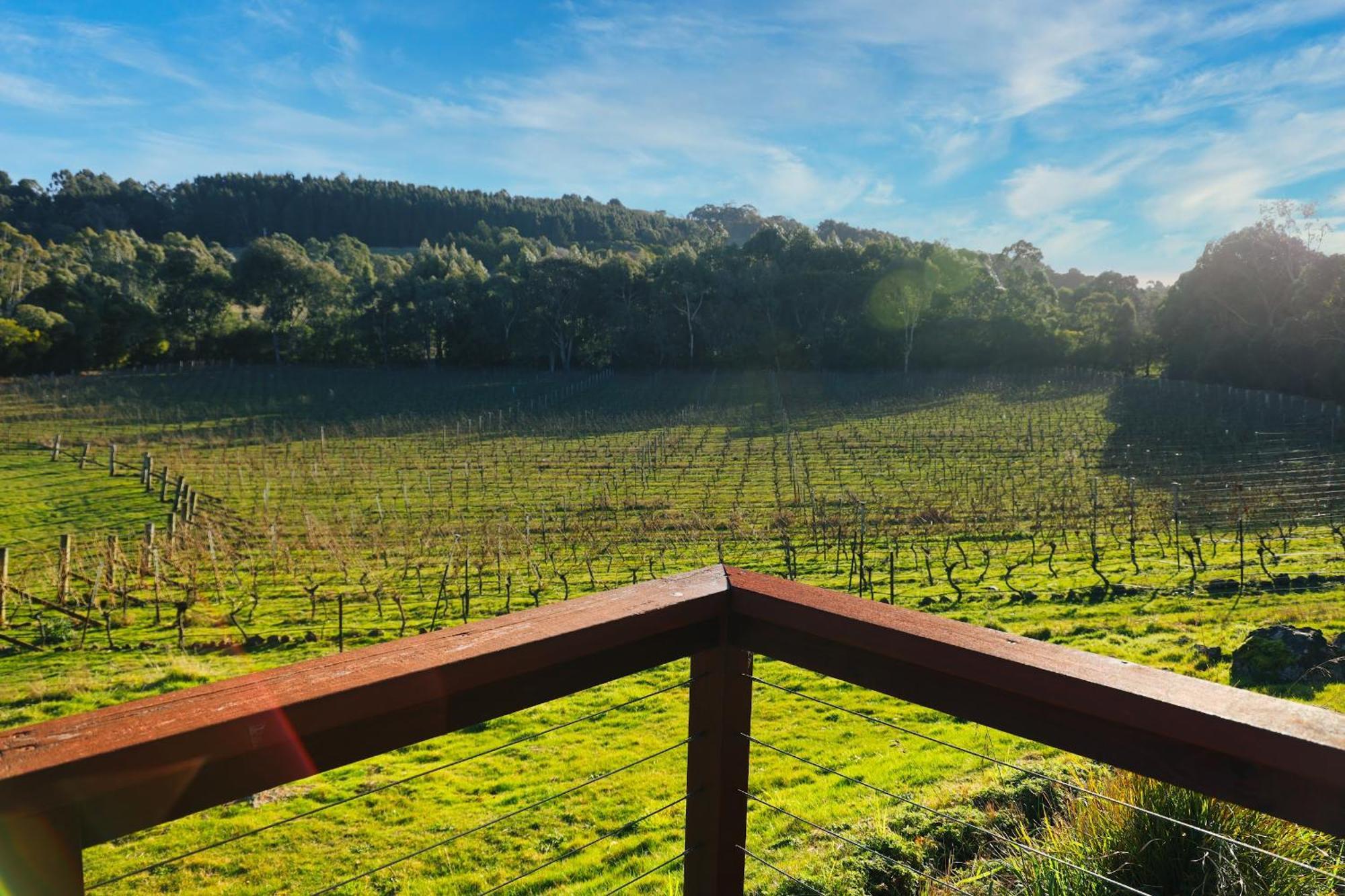 Gisborne Peak Winery Short Term Stays Exterior photo