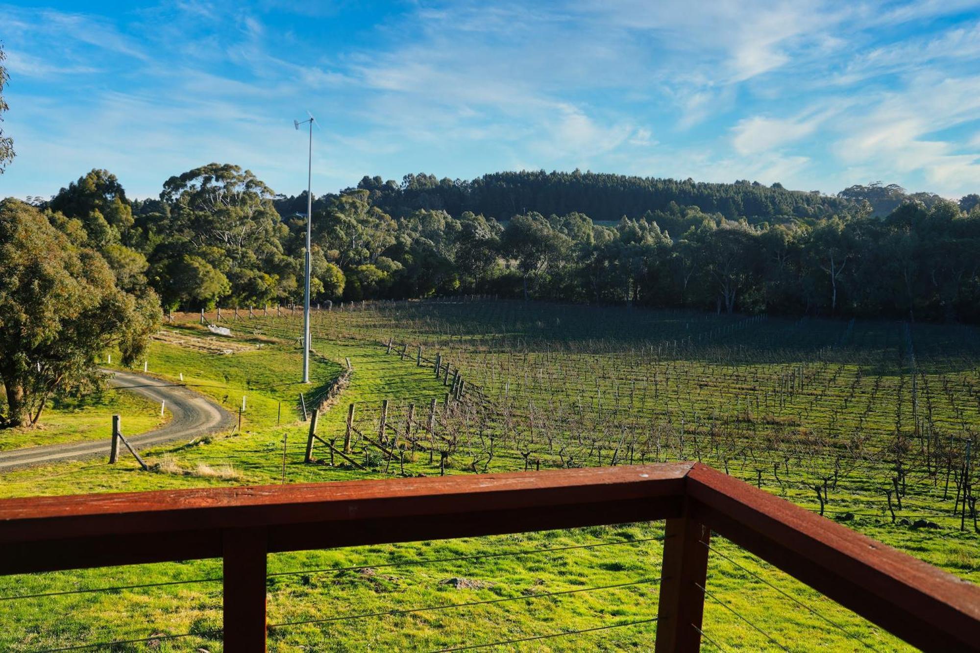 Gisborne Peak Winery Short Term Stays Exterior photo